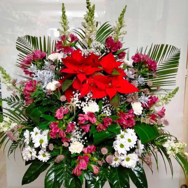 Funeraria Santa María