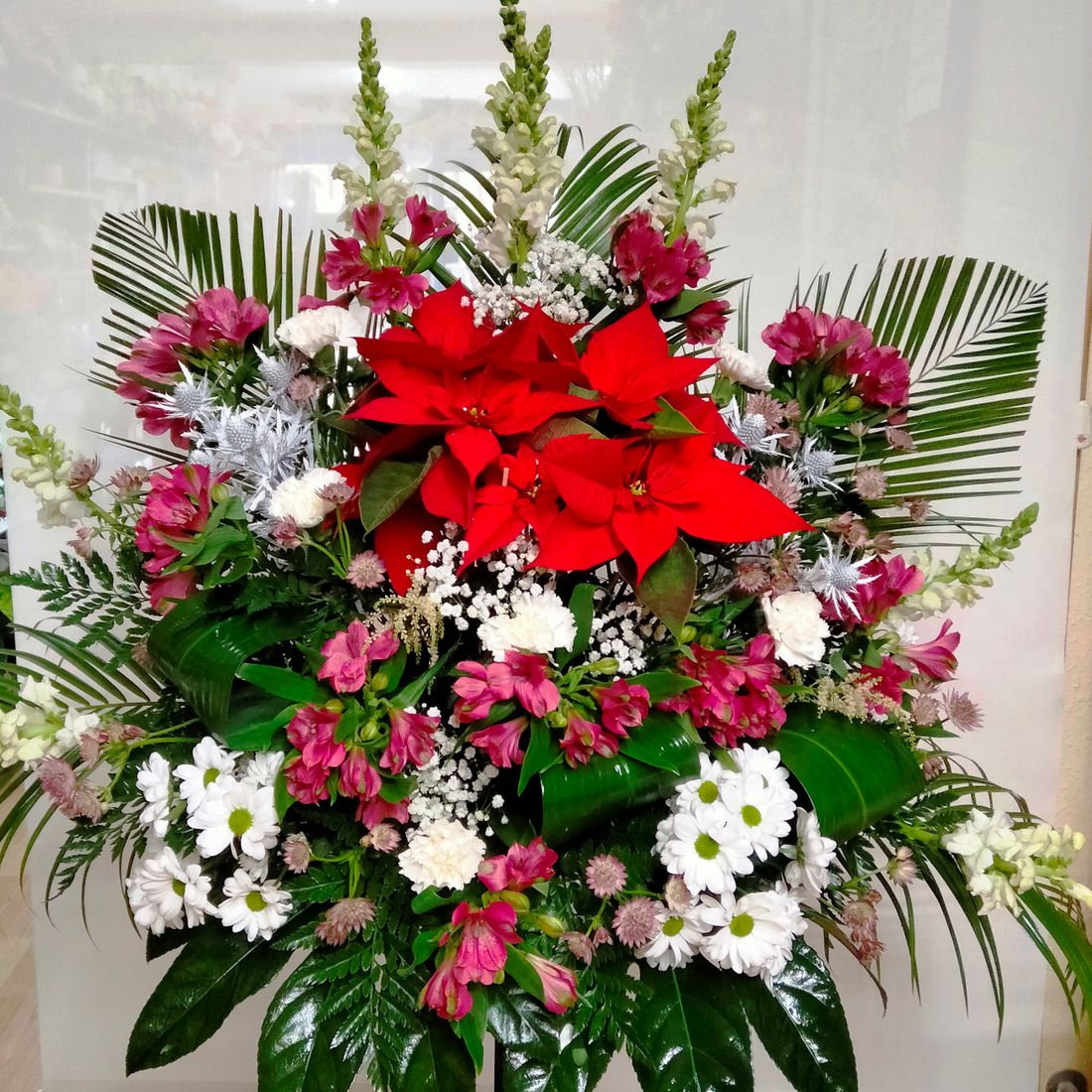 Funeraria Santa María