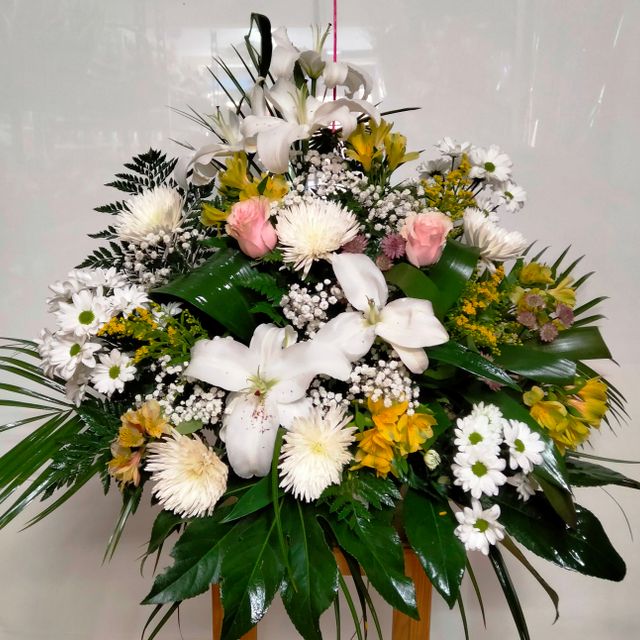Funeraria Santa María