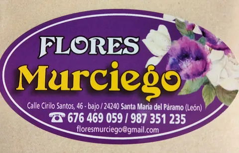 Funeraria Santa María logo pfloristeria